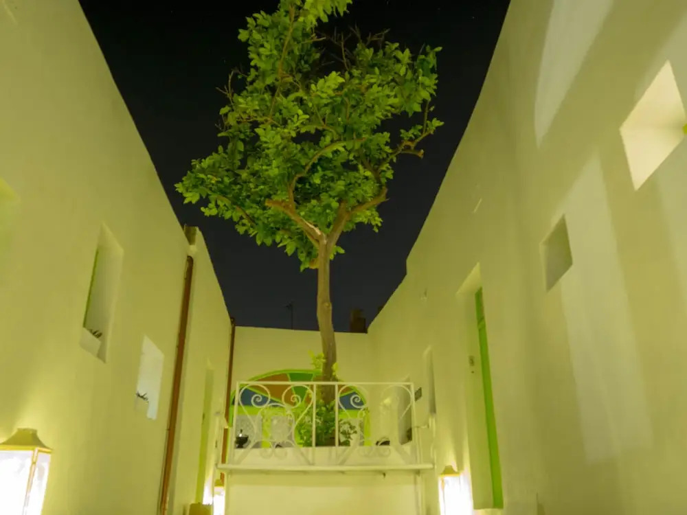 Lemon Tree Relais by CX Collection