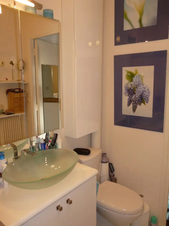 Location Sweet Home Paris 12 Terrasse Verdure 55m 2 pièces