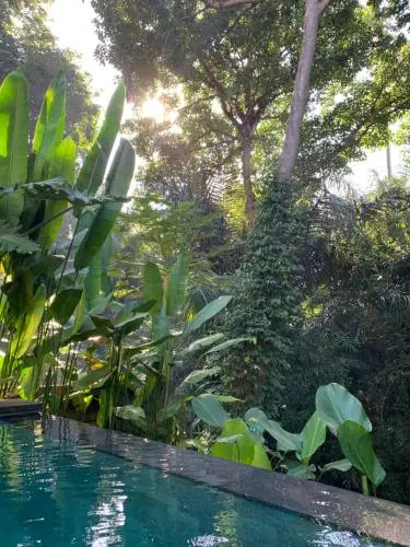 Aji Lodge Bungalow