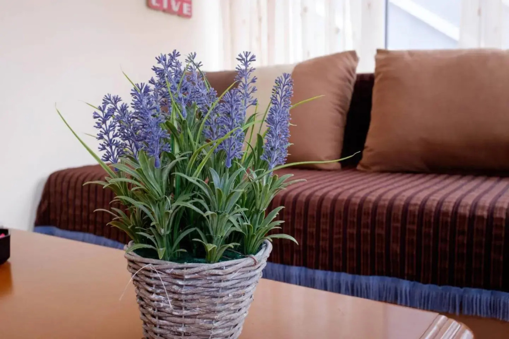 Nice & Quiet Apartment in Best Area