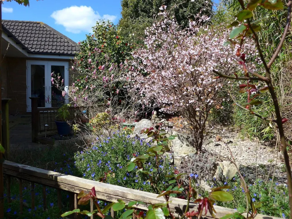 The Olive Tree B&B