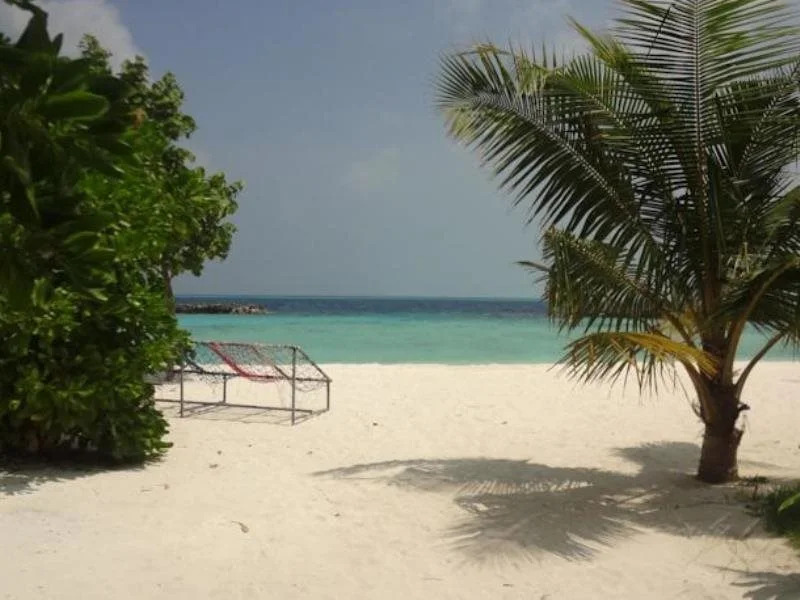 Variety Stay Guest House Maldives
