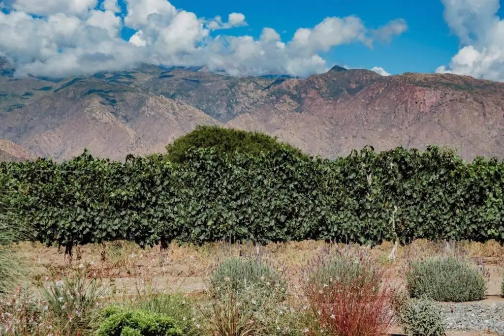 Serena Huasi L16 - Home in La Estancia de Cafayate