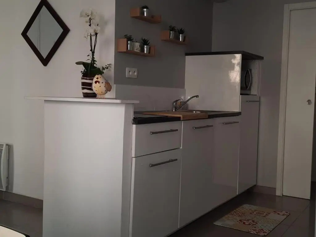 Appartement centre ville rue calme 2 pièces classé 3 étoiles