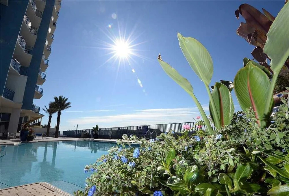 Sterling Breeze 503 - One Bedroom Condo