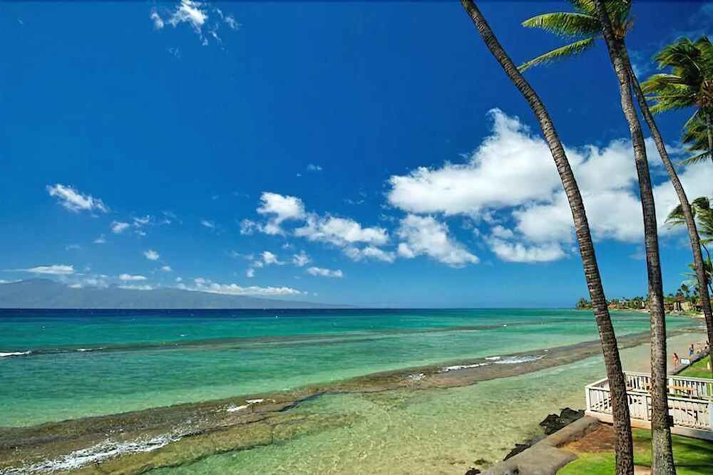 Oceanfront Luxury Maui Sands Unit 5F by RedAwning
