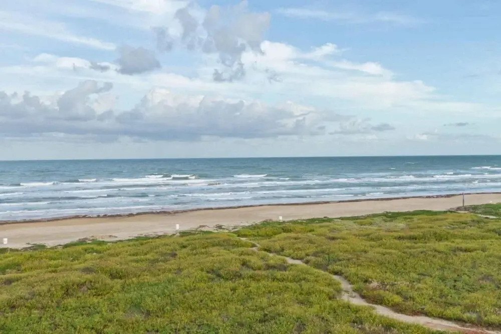 Beach House I 502 by Padre Island Rentals