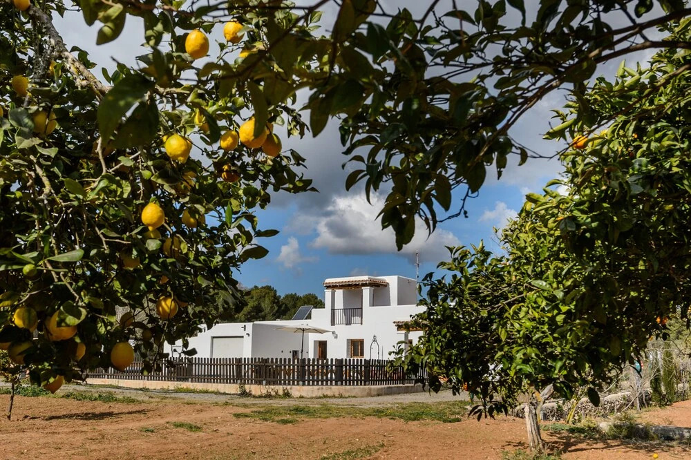 Villa Los Naranjos