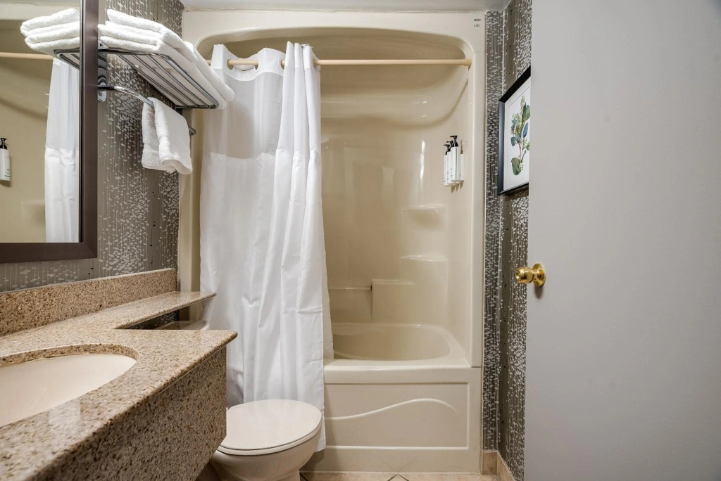 Monte Carlo Inn Toronto West Suites