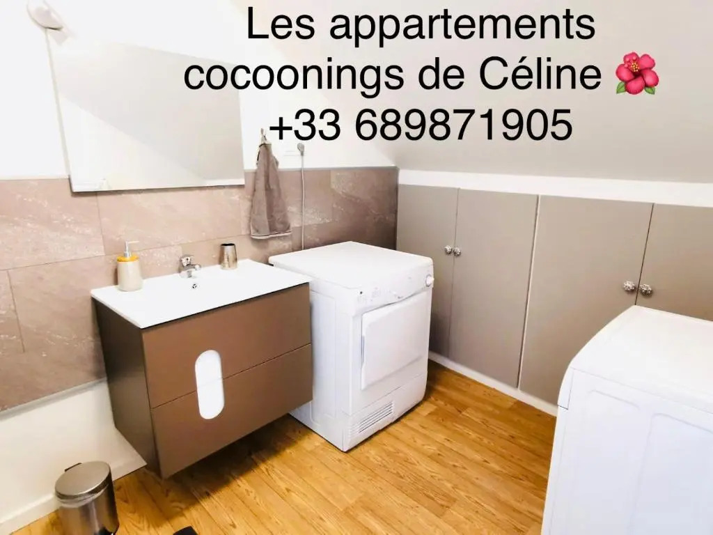 Appartement coeur centre-ville cosy et chaleureux rue Carnot