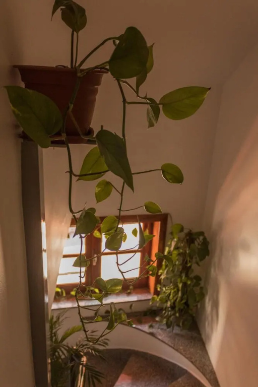 B&B Scarabeo Milazzo