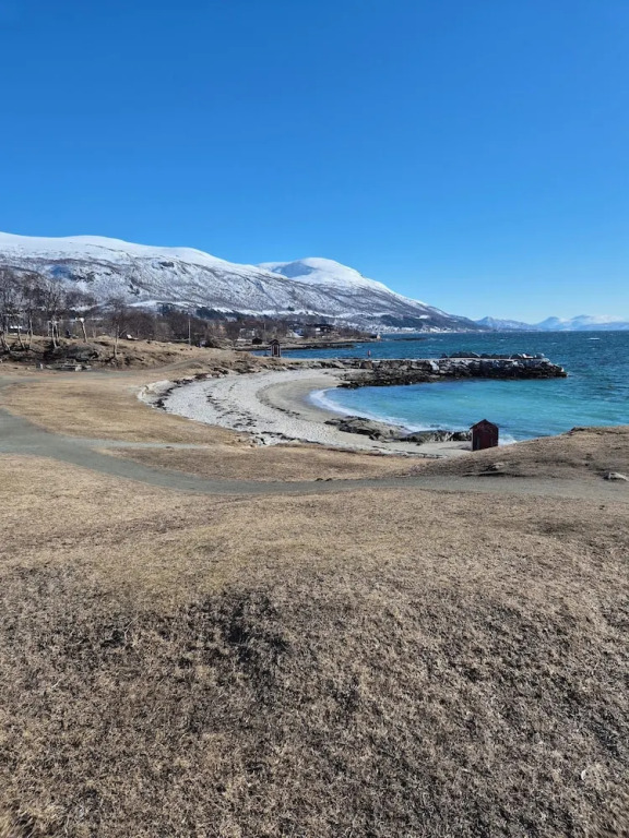Yggdrasil Sea Wiev Lodge