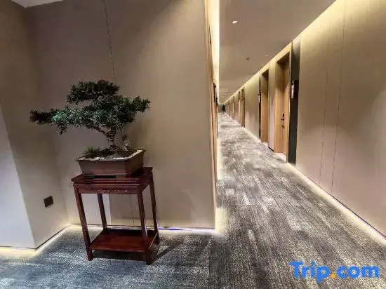 Home Inn Plus Pax Hotel (Xi'an Tianwang Metro Station)