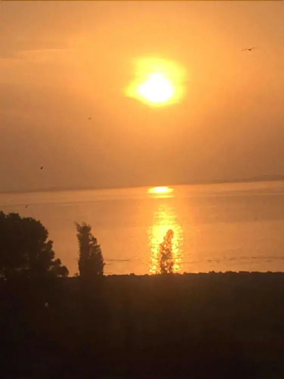 Asya Hotel Darica