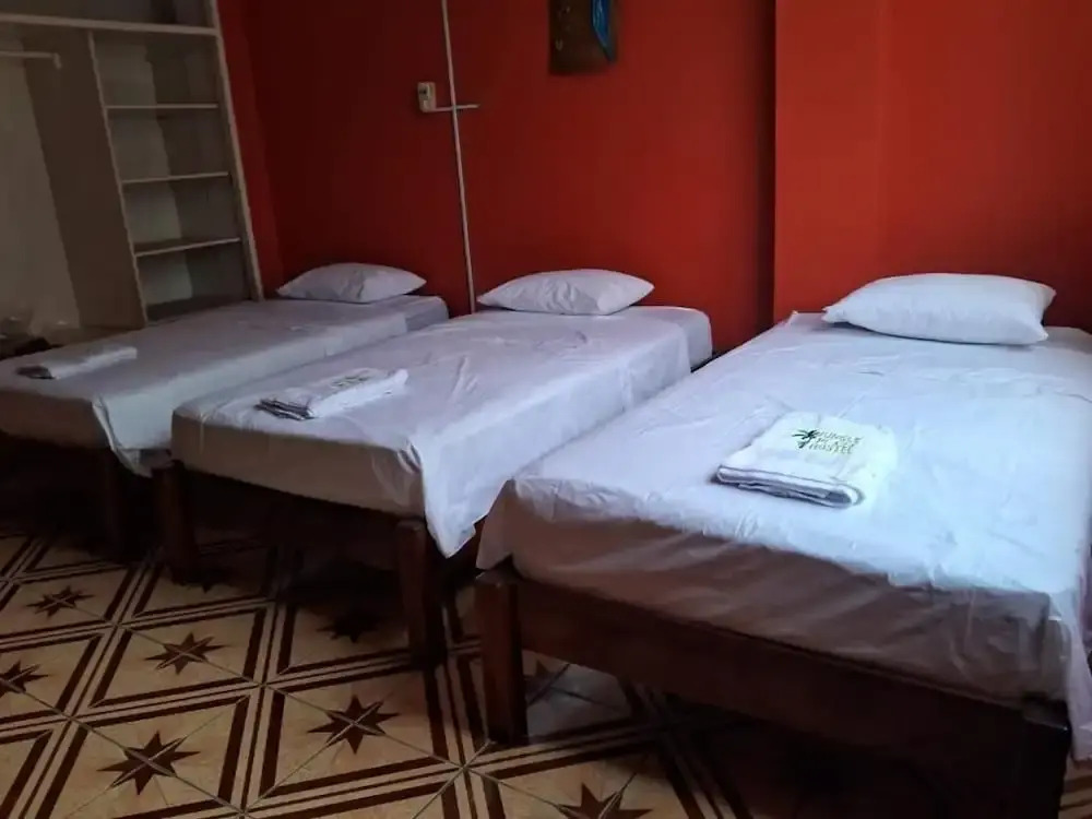 Plaza Jungle Hostel