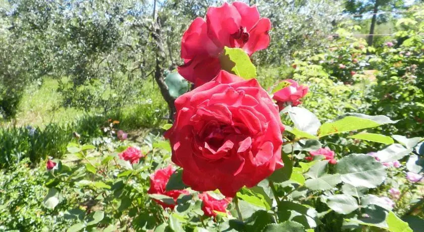 Casetta del Fiano