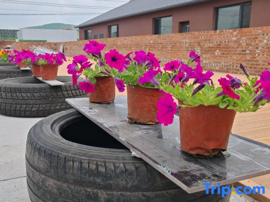 Ulan Tuya Homestay (Chifeng Hexigten Banner Wulan Butong Grassland Scenic Area)
