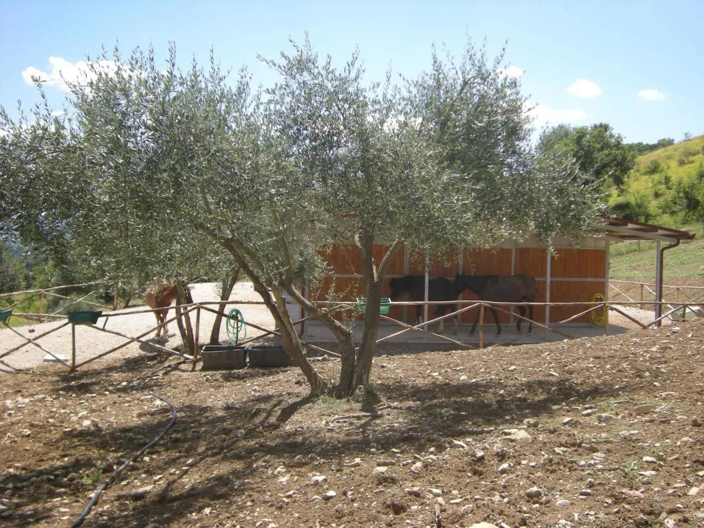 Agriturismo Goccia di Luna