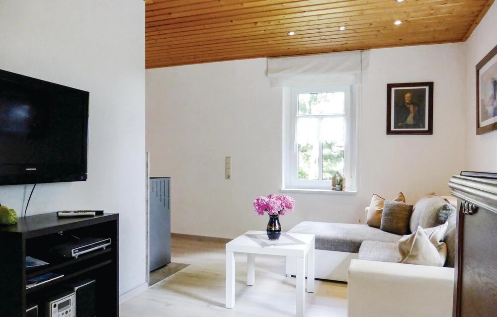 Holiday Home Am Trieberweg S