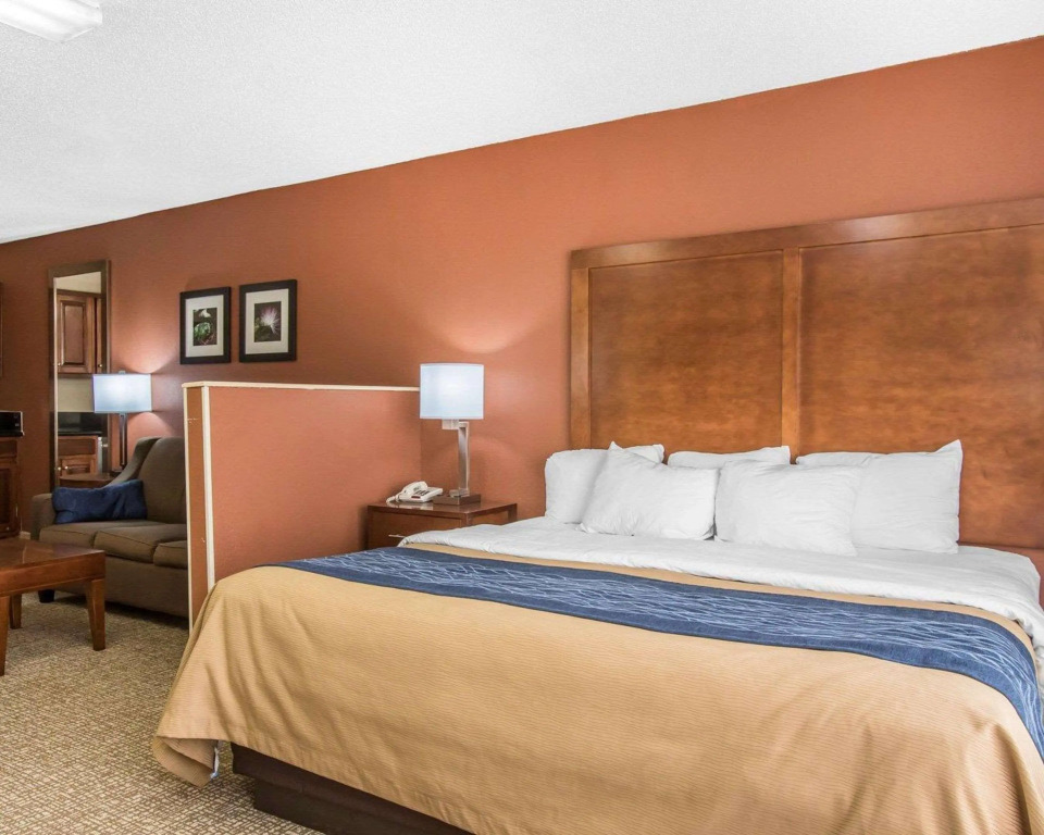 Comfort Inn Livingston