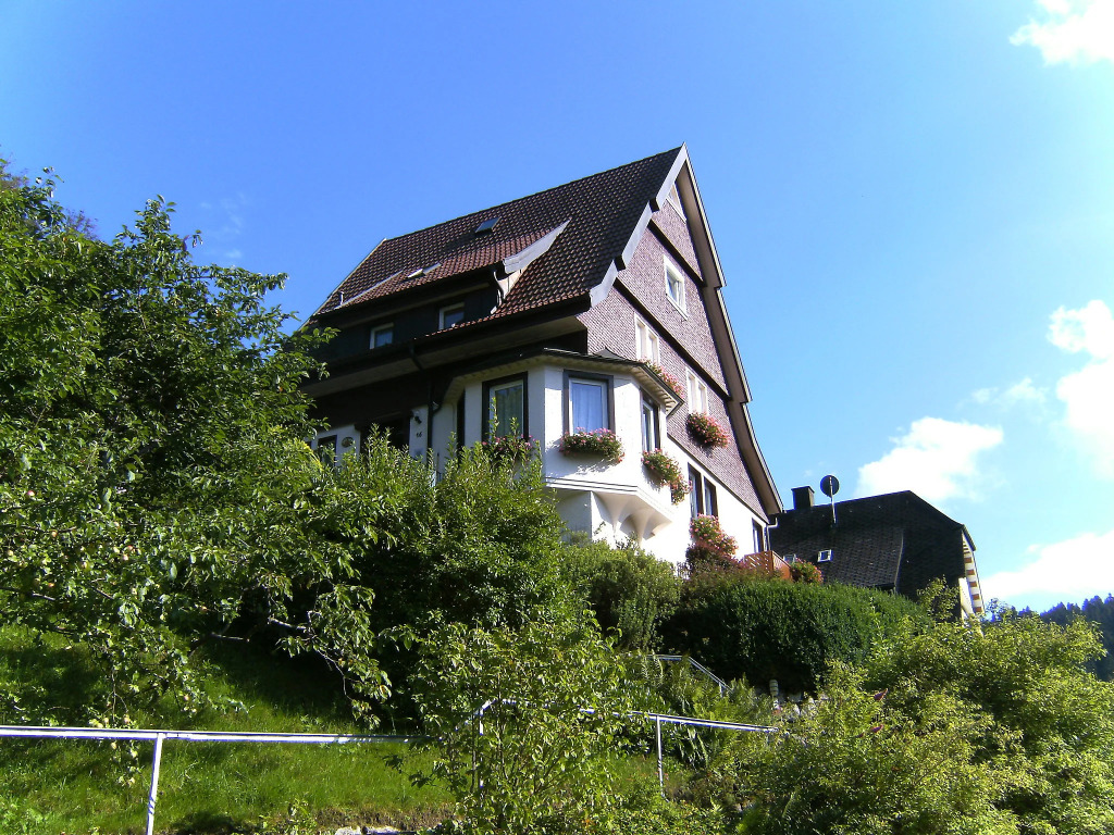 Maier