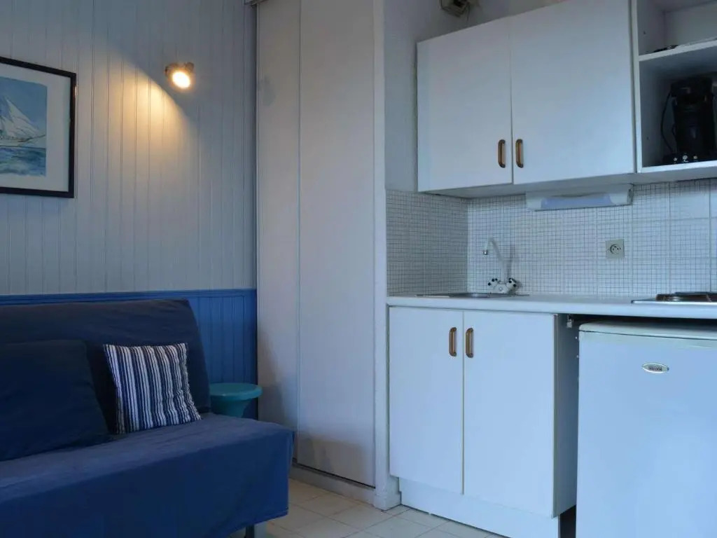 Appartement Saint-Cyprien, 1 pièce, 4 personnes - FR-1-225D-23