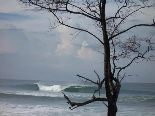 Santa Teresa Surf Vista Villas