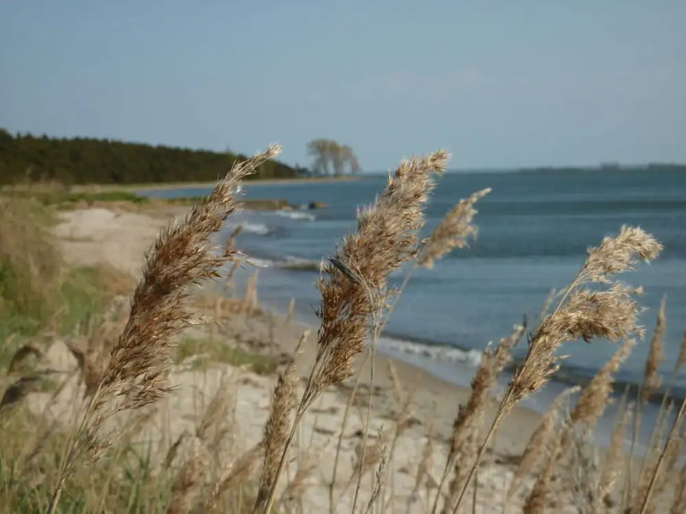 Holiday Home \"baltic Sea Dream\"