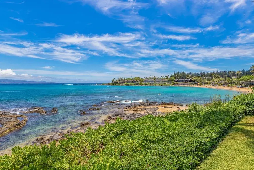 Napili Shores G258 Studio Condo Condo