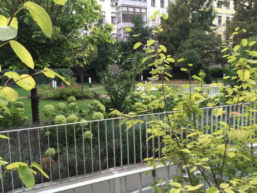 Apartments near Rathaus