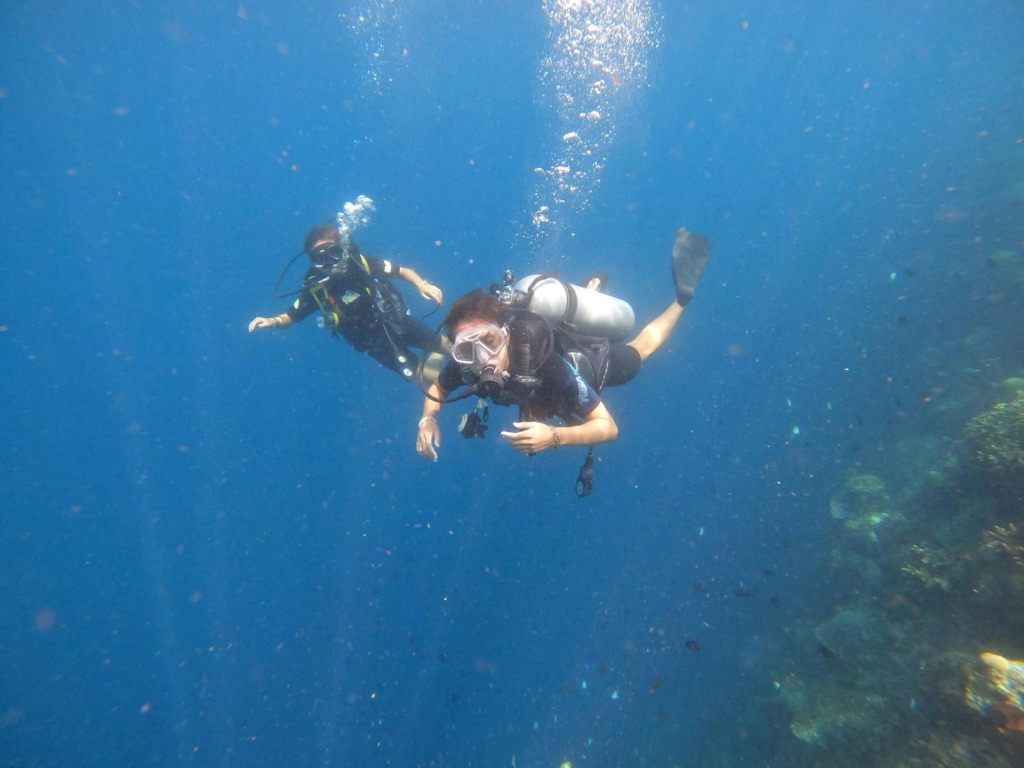 4 Sisters Divers