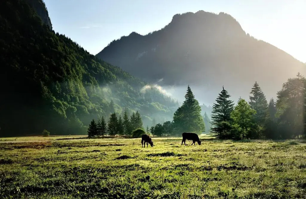 Landhotel Böld Oberammergau