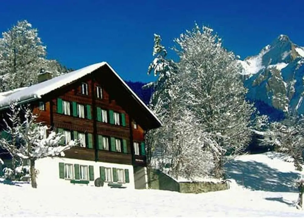 Apartment With 2 Bedrooms in Grindelwald, With Wonderful Mountain View