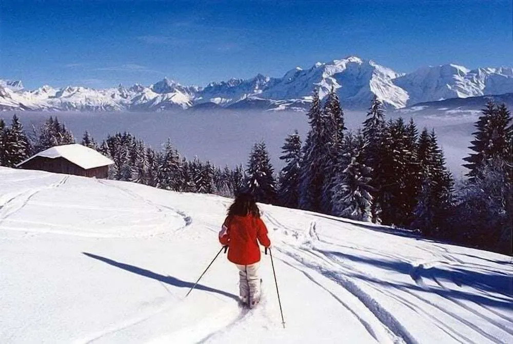 Le Chalet Hôtel Cordon Adults Only