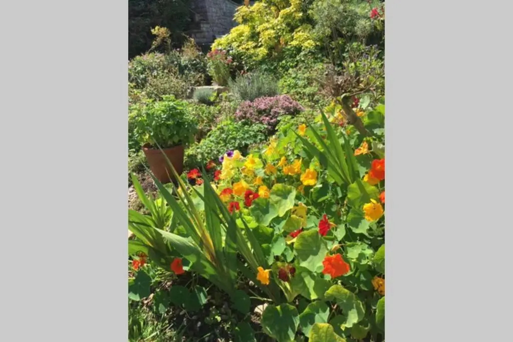 16 Century Farmhouse Cottage, foothills of iconic Glastonbury Tor