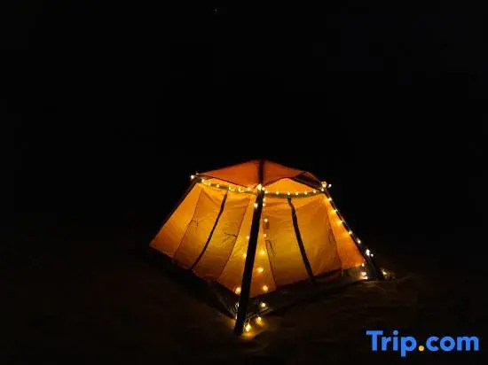 Leyou Self-driving Desert Camping Base