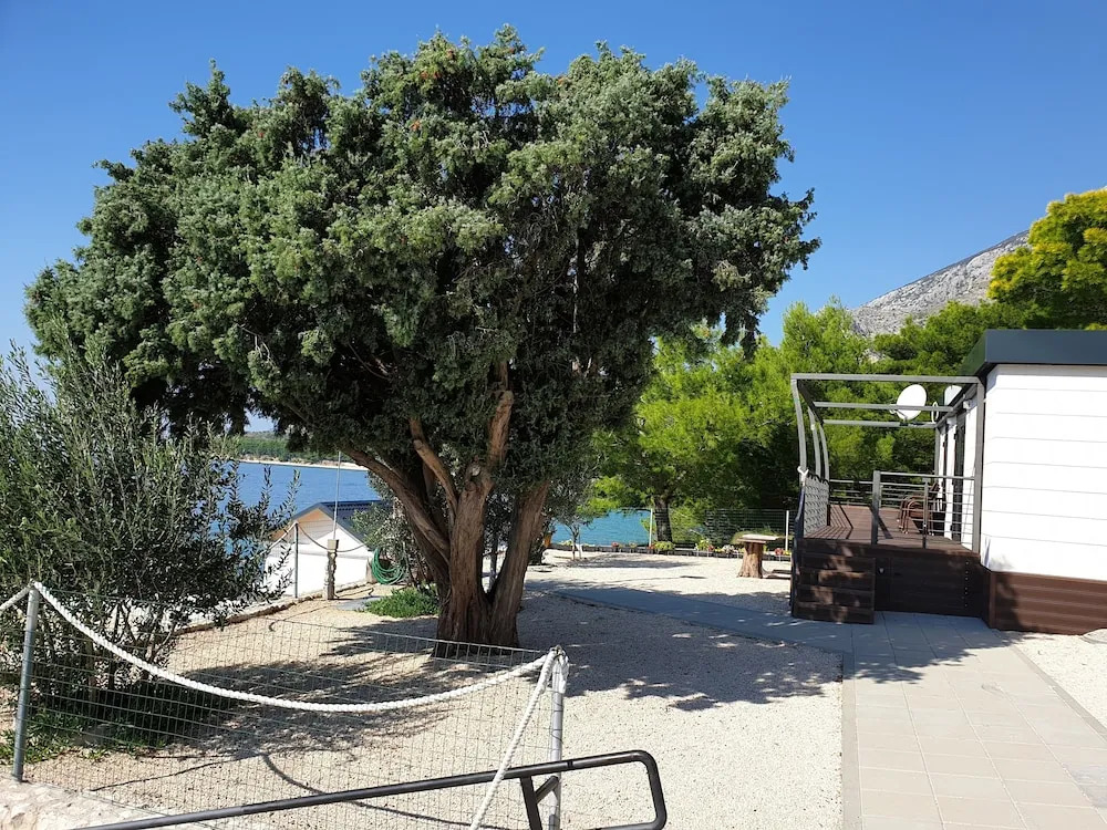 Camp Milo moje