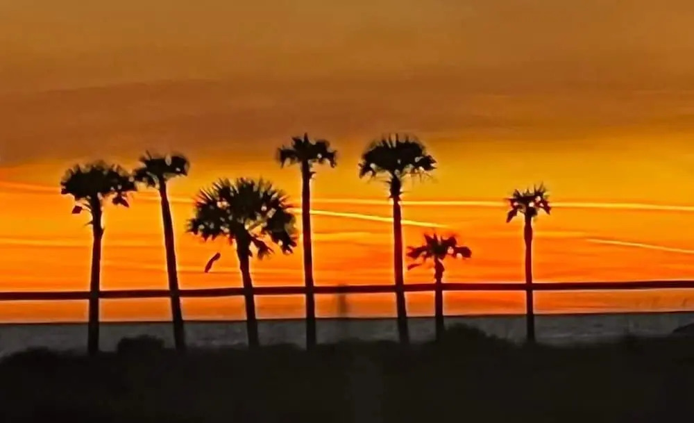 Shores Of Panama 1206 - Amazing Studio. Free Fun! Sleeps 3. Romantic 1 Bedroom Condo by RedAwning