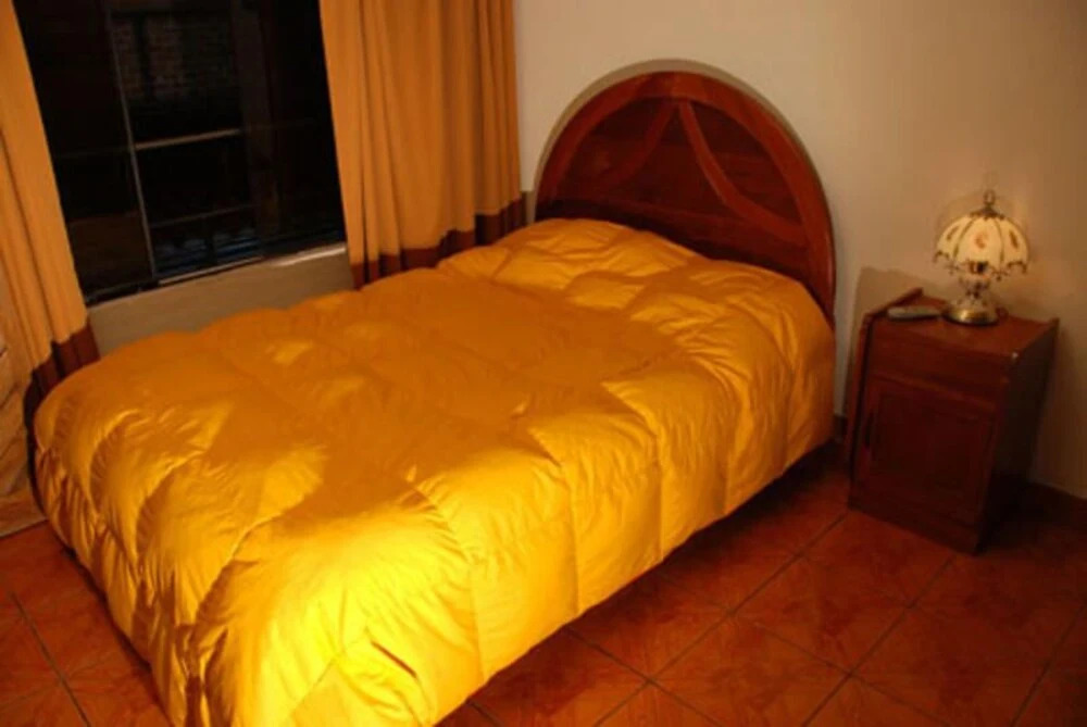 Hostal Alpes Huaraz