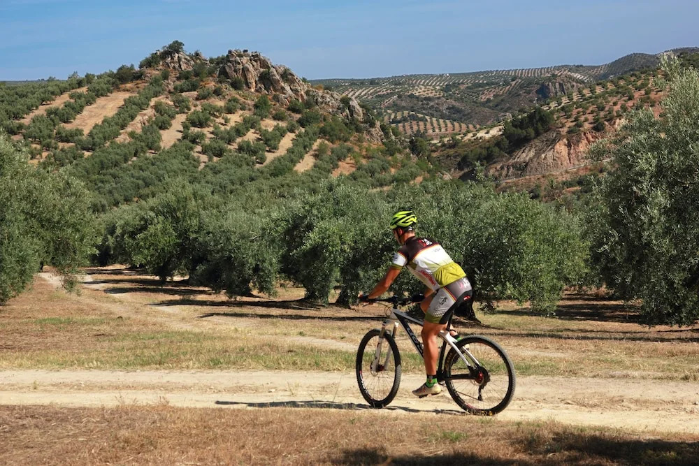 Casa Rural Don Lope en Priego de Córdoba