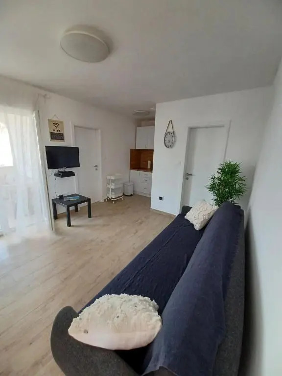 Apartments Sava