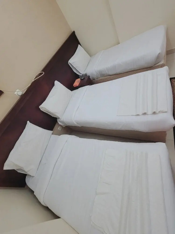 فندق نجمه الروضه