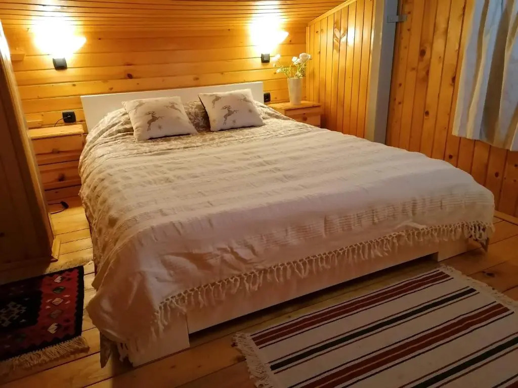 Vila 51 Kopaonik Centar