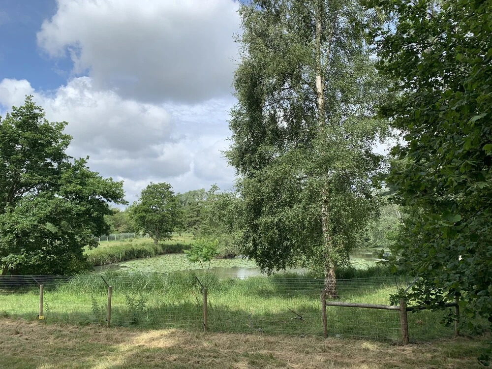 Wensum Glamping
