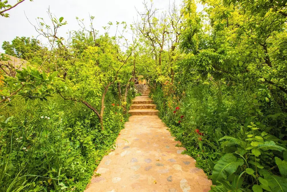 The garden of Asni