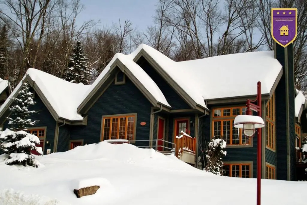 Chalets Alpins - 1 Chemin des Montagnards