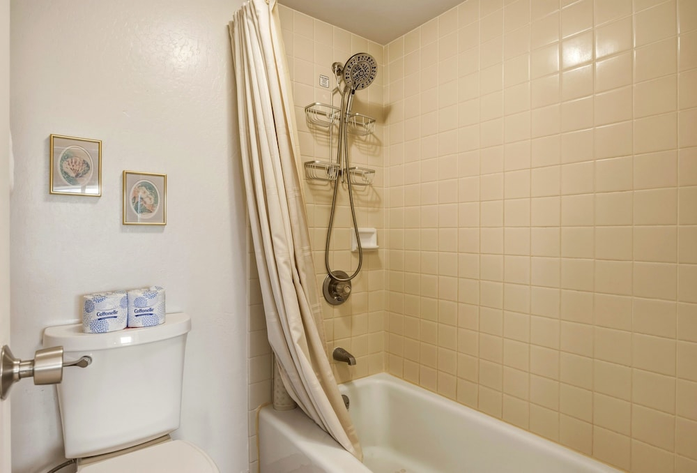 Spacious 2br Oceanfront Loft - Unit C17 1 Bedroom Condo