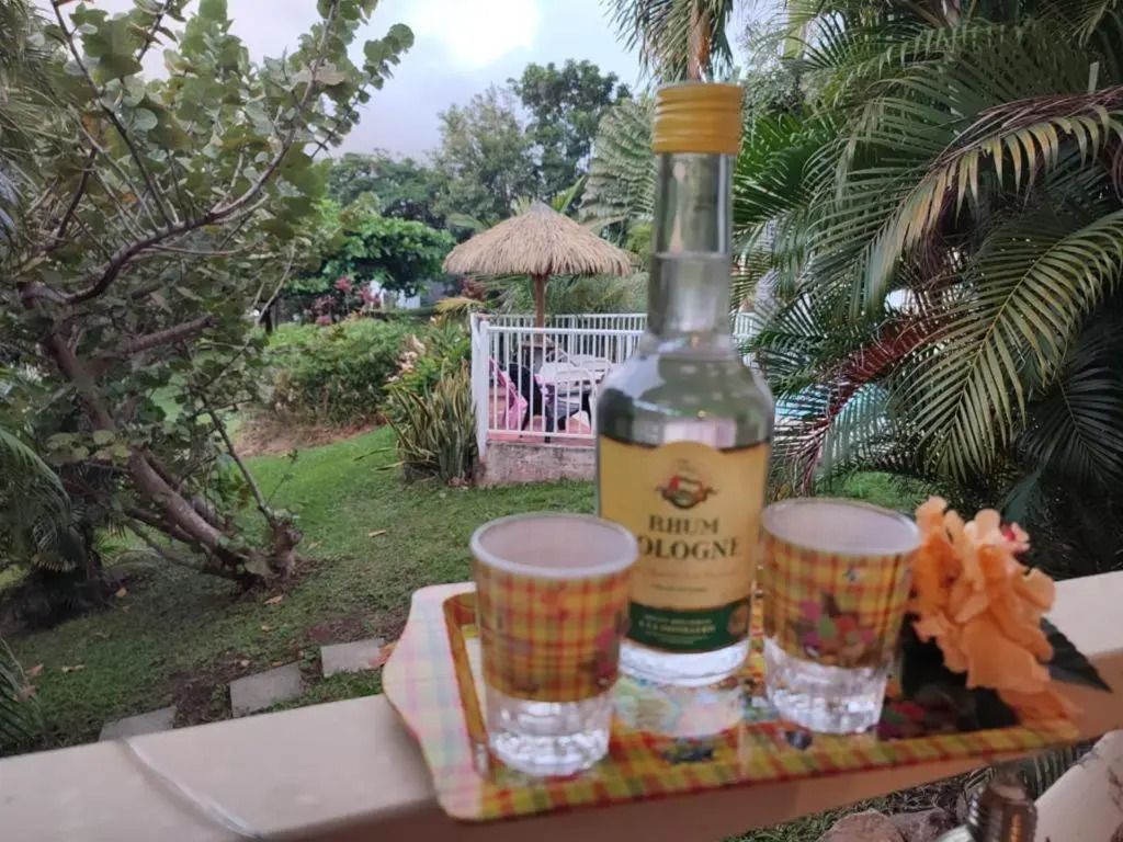 Gîte Ti Papiyon