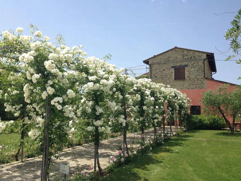 Agriturismo Casale Le Selvette