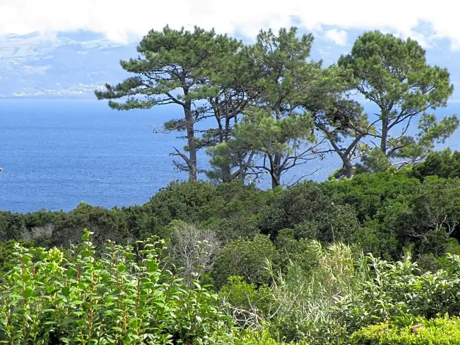 Vila Holanda Bed & Breakfast